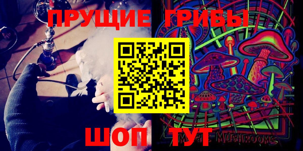 где продают наркотики  Вход с VPN  Кингисепп  Галлюциногенные грибы мухоморы 