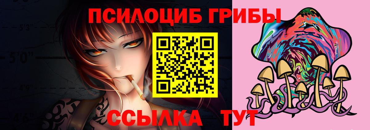Галлюциногенные грибы мухоморы Кингисепп